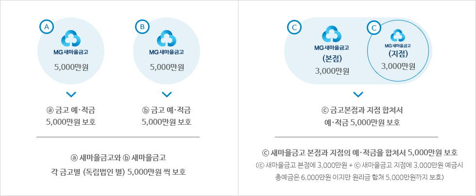 새마을금고 예금자보호