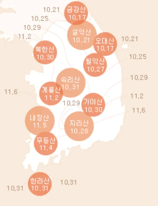 2023 단풍 시기